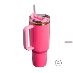 ✨💕LIMITED EDITION💕✨ Pink Parade Stanley!!